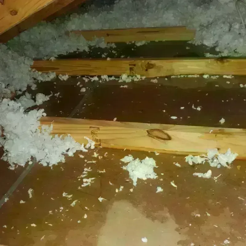 Attic Water Damage in Hot Springs, AR