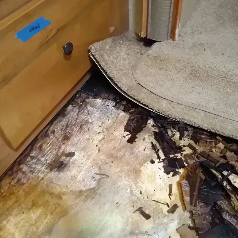 Wood Floor Water Damage in Hot Springs, AR